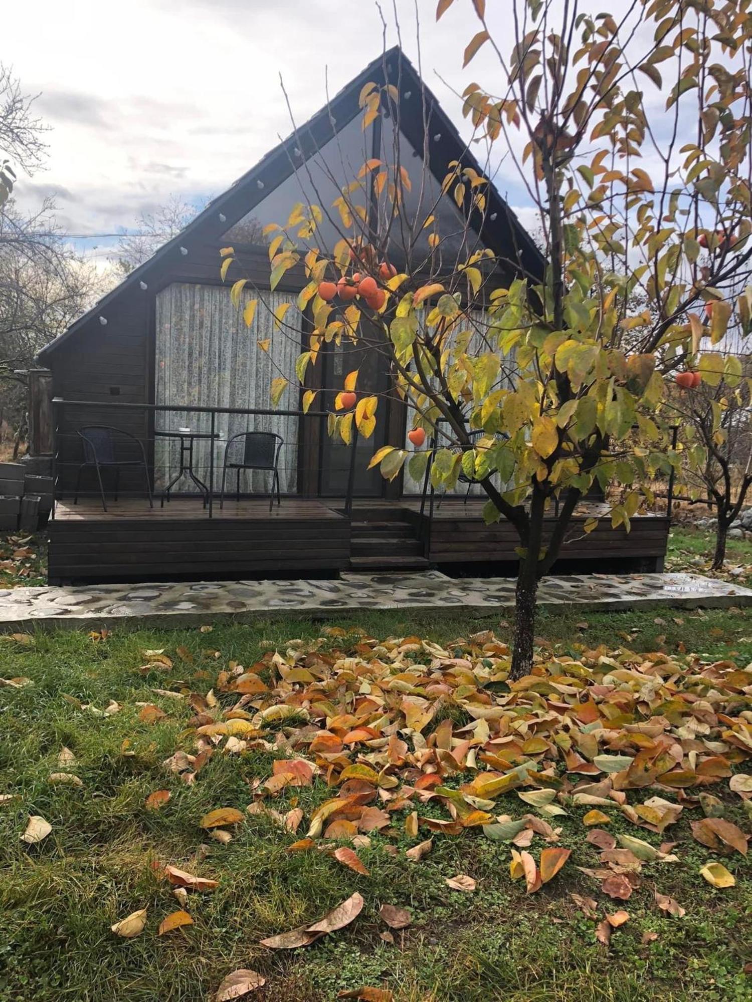 Wood House Lagodehi Dış mekan fotoğraf